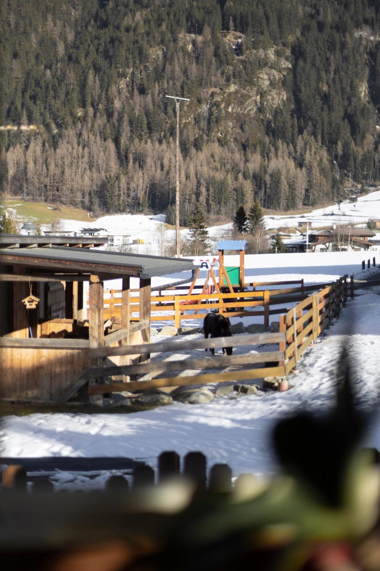 Ferienhaus Tirol Im Oetztal Умхаузен Екстериор снимка