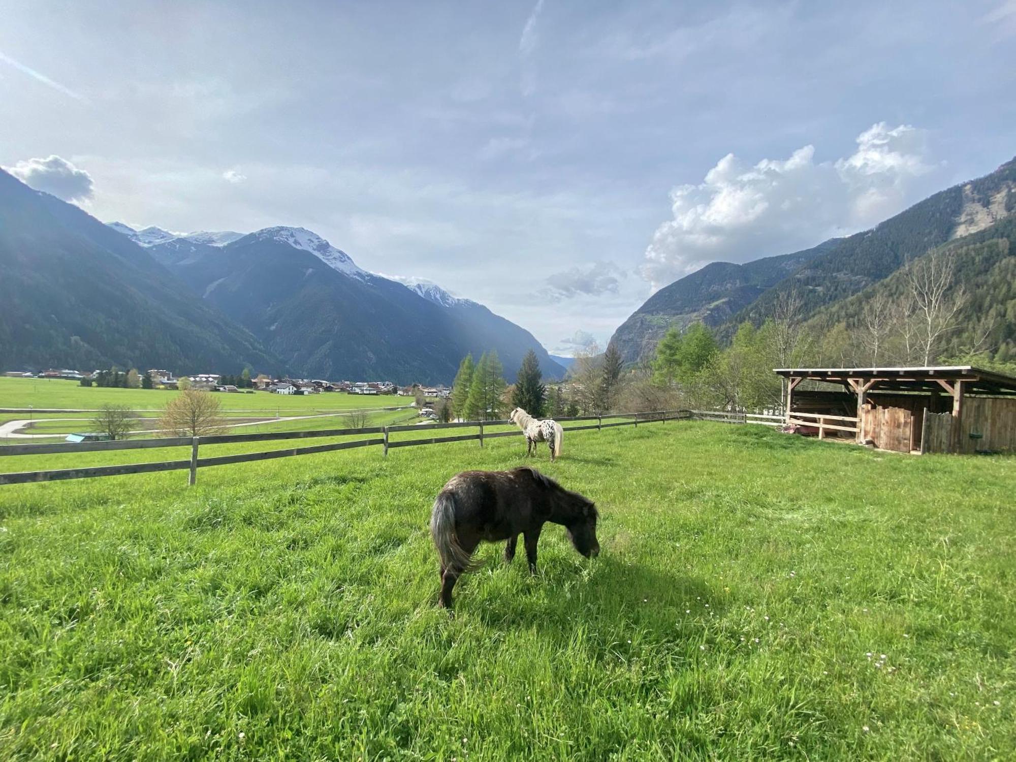 Ferienhaus Tirol Im Oetztal Умхаузен Екстериор снимка
